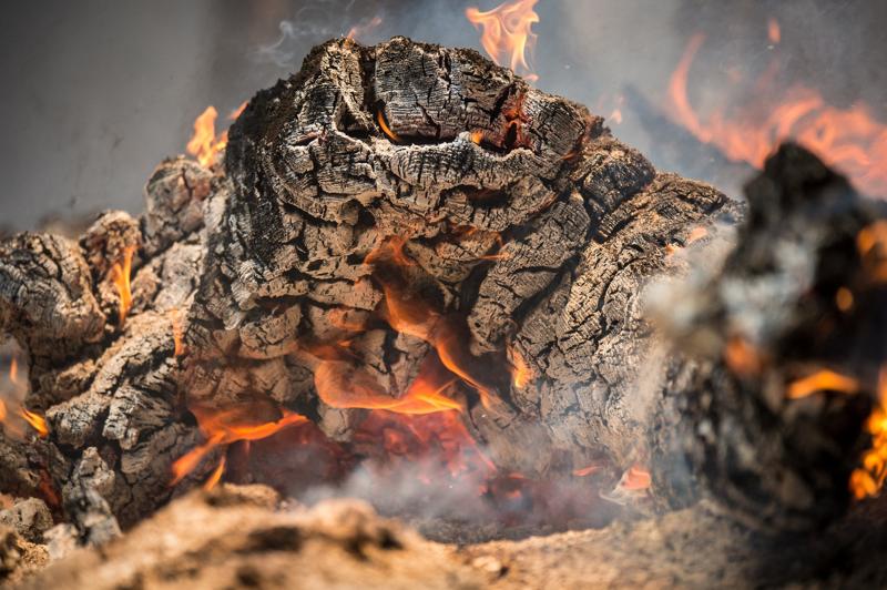 Pengaruh Suhu Pembakaran Dalam Pembuatan Biochar